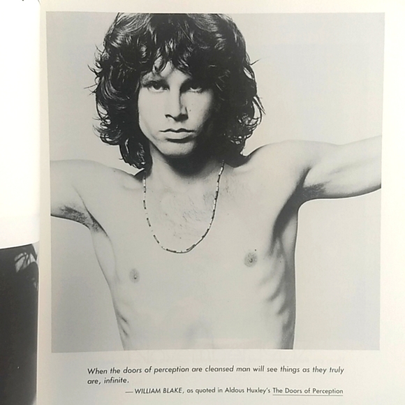 THE DOORS The Illustrated History 1983 Danny Sugerman First Printing - Picture 6 of 16